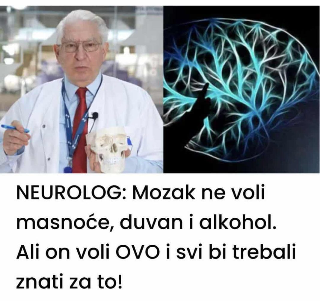 Kao neurolog, važno je napomenuti da mozak ima averziju prema masti, duhanu i alkoholu. - featured image