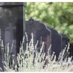 Sveštenik objasnio kako se pravilno računa 40 dana pokojniku: Otac Milan otkrio greške koje svi pravimo, a ovo pravilo mora da se poštuje Sveštenik objasnio kako se pravilno računa 40 dana pokojniku: Otac Milan otkrio greške koje svi pravimo, a ovo pravilo mora da se poštuje - featured image