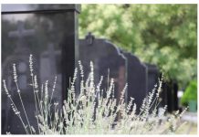 Sveštenik objasnio kako se pravilno računa 40 dana pokojniku: Otac Milan otkrio greške koje svi pravimo, a ovo pravilo mora da se poštuje Sveštenik objasnio kako se pravilno računa 40 dana pokojniku: Otac Milan otkrio greške koje svi pravimo, a ovo pravilo mora da se poštuje - featured image