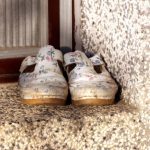 Nema gore nesreće nego ako pred vratima imate ovo: Veruje se da donosi bedu i siromaštvo u kuću Nema gore nesreće nego ako pred vratima imate ovo: Veruje se da donosi bedu i siromaštvo u kuću - featured image