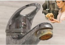 Trik za ČIŠĆENJE KAMENCA se širi kao zaraza: Poznata influenserka otkrila caku – ne treba vam NI VODA, samo 1 stvar koju SVI imamo Trik za ČIŠĆENJE KAMENCA se širi kao zaraza: Poznata influenserka otkrila caku – ne treba vam NI VODA, samo 1 stvar koju SVI imamo - featured image