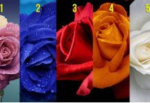 Test podsvesti: Odaberite jednu ružu i saznajte šta vas vodi u životu, a šta krijete od drugih Test podsvesti: Odaberite jednu ružu i saznajte šta vas vodi u životu, a šta krijete od drugih - featured image