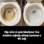 Nije sirće ni soda bikarbona: Ovo sredstvo najbolje uklanja kamenac u WC šolji Nije sirće ni soda bikarbona: Ovo sredstvo najbolje uklanja kamenac u WC šolji - featured image