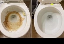 Nije sirće ni soda bikarbona: Ovo sredstvo najbolje uklanja kamenac u WC šolji Nije sirće ni soda bikarbona: Ovo sredstvo najbolje uklanja kamenac u WC šolji - featured image