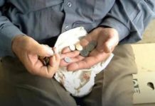 Ako ne želite dugove i nesreću ove stvari odmah izbacite iz kuće: Jedna je posebno opasna Ako ne želite dugove i nesreću ove stvari odmah izbacite iz kuće: Jedna je posebno opasna - featured image