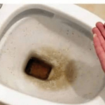 0CAT JE PR0ŠL0ST: 0vaj puder iz kuhinje čisti toalet za MlNUT – bez kamenca, žutih mrlja i mirisa!