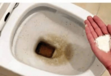 0CAT JE PR0ŠL0ST: 0vaj puder iz kuhinje čisti toalet za MlNUT – bez kamenca, žutih mrlja i mirisa!