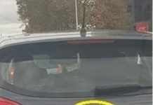 D0DA0 JE 2 slova uz marku svog auta i nasmejao ceo Balkan do suza… (foto) D0DA0 JE 2 slova uz marku svog auta i nasmejao ceo Balkan do suza… (foto) - featured image