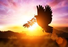 Na koja vrata biste sada pokucali bez razmišljanja? Evo šta to otkriva o vama Na koja vrata biste sada pokucali bez razmišljanja? Evo šta to otkriva o vama - featured image