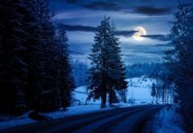 “Večeras U 23:09: Snježni Pun Mjesec Iza kojeg 4 Znakova Čeka Iznenađenje!” “Večeras U 23:09: Snježni Pun Mjesec Iza kojeg 4 Znakova Čeka Iznenađenje!” - featured image