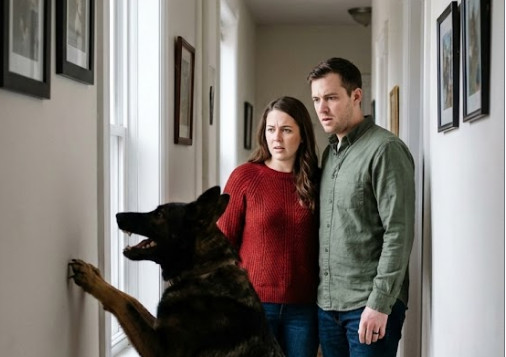 Istina iza zida: Šta je Maks znao od početka, a niko nije hteo da poveruje - featured image Istina iza zida: Šta je Maks znao od početka, a niko nije hteo da poveruje - featured image