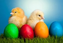 Pre Uskrsa obavezno unesite ovih 7 stvari u vaš doma: Veruje se da će vam doneti ogromnu sreću, dobro zdravlje, slogu i neverovatan uspeh Pre Uskrsa obavezno unesite ovih 7 stvari u vaš doma: Veruje se da će vam doneti ogromnu sreću, dobro zdravlje, slogu i neverovatan uspeh - featured image