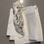 Pronašla sam nešto čudno u pakovanju brašna: odlučila sam otvoriti celofan da vidim šta je unutra… i kada sam shvatila šta je, bila sam potpuno šokirana. Pronašla sam nešto čudno u pakovanju brašna: odlučila sam otvoriti celofan da vidim šta je unutra… i kada sam shvatila šta je, bila sam potpuno šokirana. - featured image