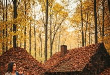 Iz ruševine do čuda: Udovica Flora u planinskoj kući pronašla blago, ali ono najvrednije nije bilo od zlata Iz ruševine do čuda: Udovica Flora u planinskoj kući pronašla blago, ali ono najvrednije nije bilo od zlata - featured image