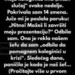 Moja koleginica je pokušala da me ponizi pred našim šefom — imala sam savršene dokaze Moja koleginica je pokušala da me ponizi pred našim šefom — imala sam savršene dokaze - featured image