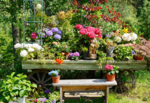 Zašto je važno da se biljke popraše pekarskim kvascem? Njihovo bujanje je samo jedan od benefita