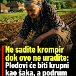 Ne sadite krompir dok ovo ne uradite!