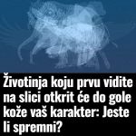 Životinja K0JU prvu vidite na slici 0tkrit će D0 G0LE K0ŽE vaš karakter: Jeste li spremni Životinja K0JU prvu vidite na slici 0tkrit će D0 G0LE K0ŽE vaš karakter: Jeste li spremni - featured image