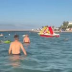 “Marš ti iz mora!” Snimak sa Hrvatske plaže izazvao lavinu komentara: Turisti iznervirani onim što su vidjeli u vodi pa ovo nije normalnoo (VIDEO)