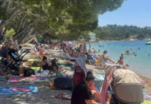 Strašno – Turisti u panici: Šta je ovo isplivalo iz mora? (FOTO)