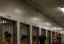 U ženskoj kaznenoj koloniji zatvorenice su jedna za drugom ostajale trudne iako su bile smeštene u samicama. Niko nije razumeo šta se dešava u tom zatvoru sve dok jednog dana osoblje nije odlučilo da tajno postavi dodatnu nadzornu kameru. A ono što su videli na snimku šokiralo je sve 😨