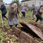 Osamdesetogodišnja baka kopala je krompir i iskopala kovčeg. Kada su ga otvorili, unutra su pronašli nešto što niko nije očekivao… 😲😲😲