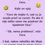 VIC: Mujo sretne Cecu