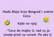 VIC: Mujo sretne Cecu