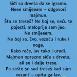 VIC: Majmun i lav VIC: Majmun i lav - featured image
