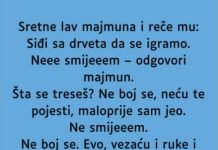 VIC: Majmun i lav VIC: Majmun i lav - featured image